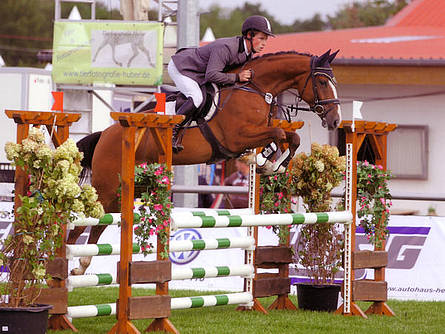 German showjumpers