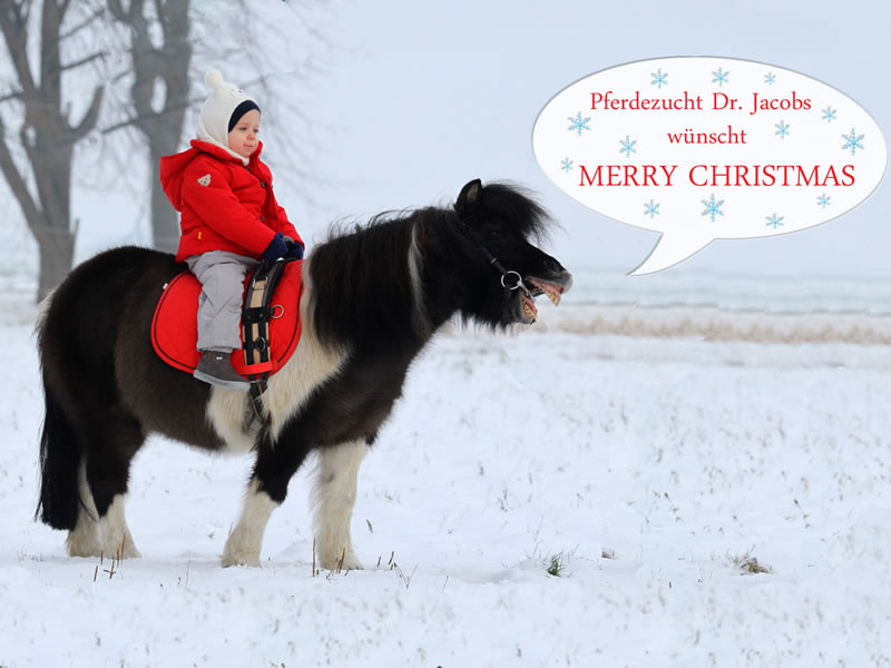 Pferdezucht Dr. Jacobs wünscht frohe Weihnachten!