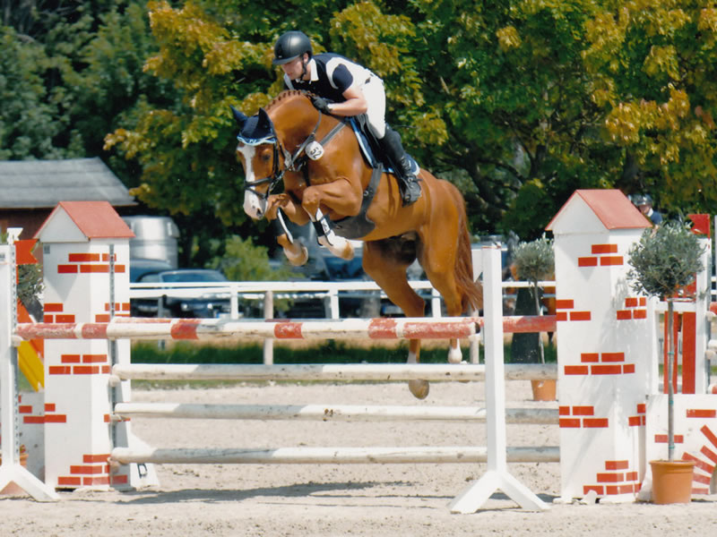 showjumper Barnie PJ by Balou du Rouet - Cassus