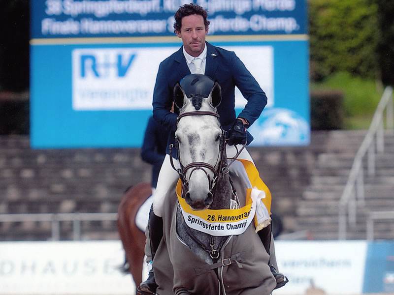 Hanoverian Showjumping Champion: Gunfire PJ by Grey Top out of Conny by Contender