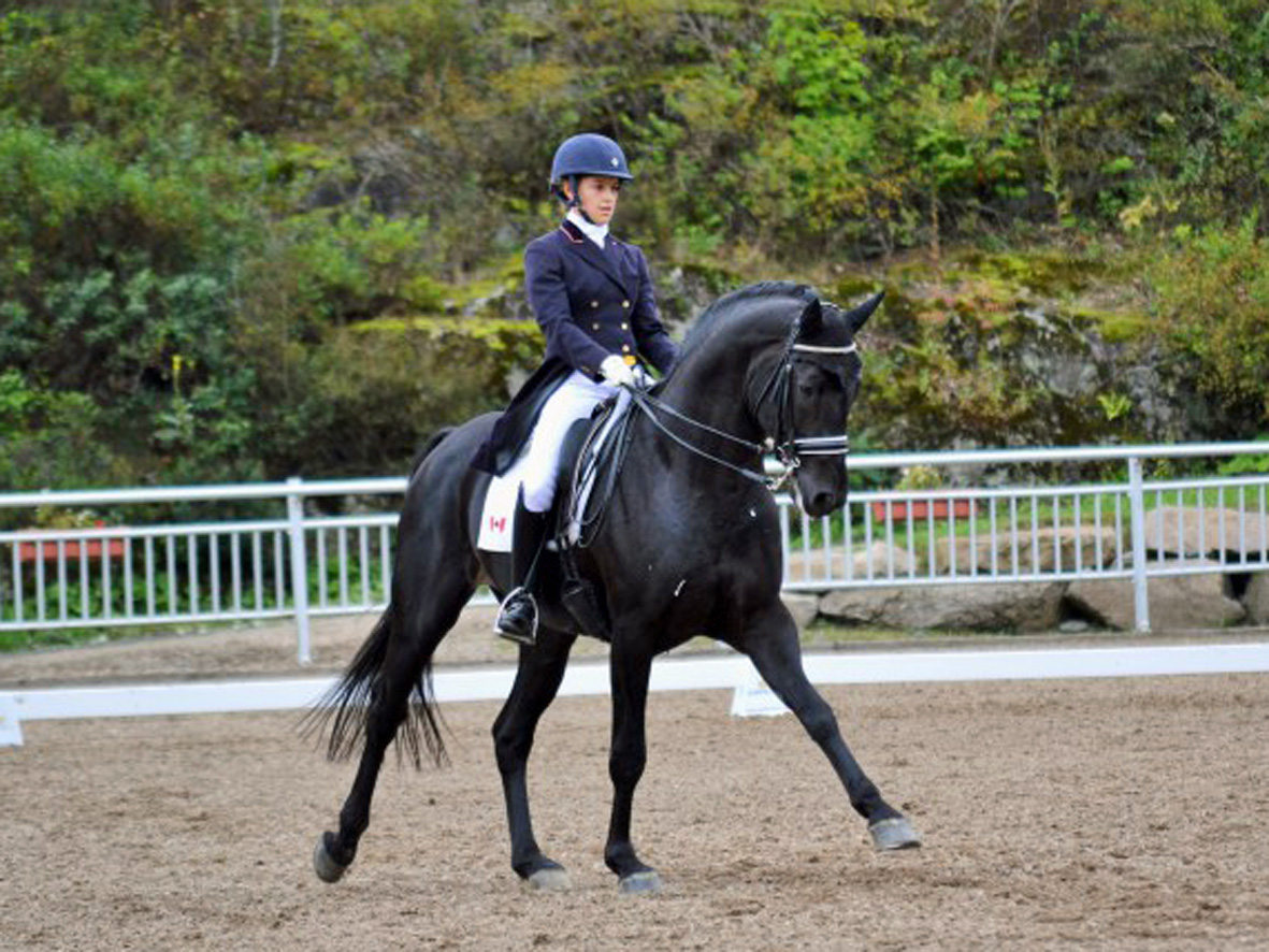 full brother of Emmy Jo PJ: Embassy III - premium stallion and international dressage horse