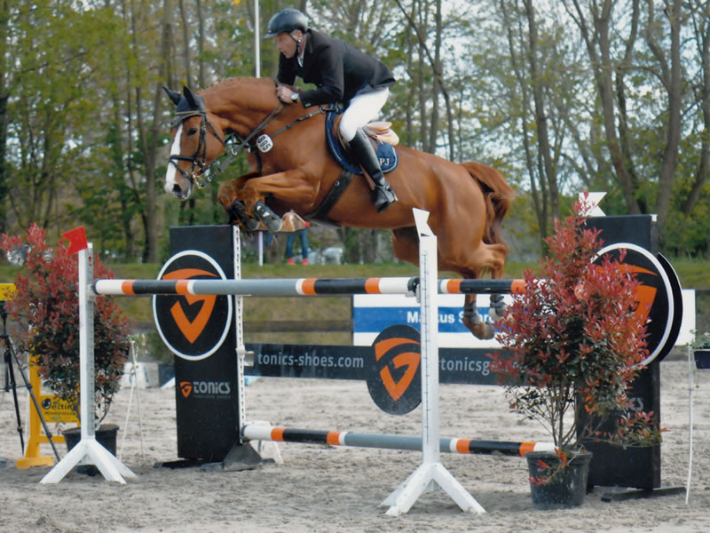 Queensberry PJ by Quidam de Revel x Evian: international showjumper