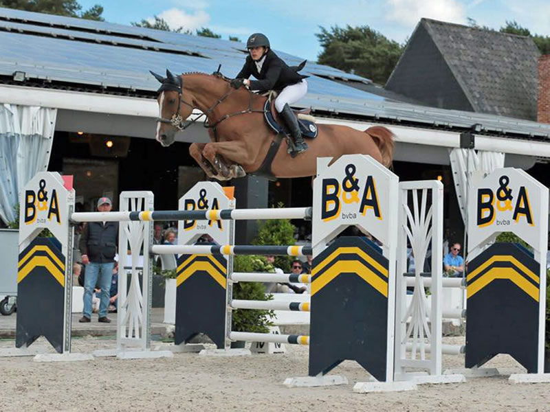 Quentin PJ by Quidam de Revel x Evian: international showjumper