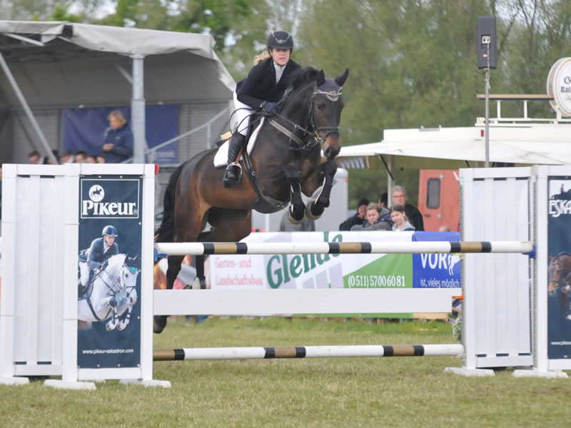 show jumper Skippy Jo PJ - show 2019