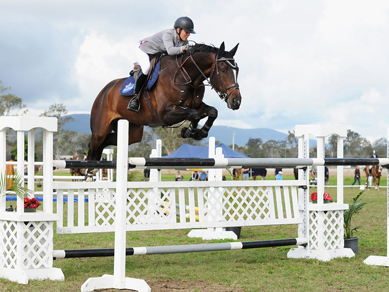 full brother of Emmy Jo PJ: Enzo PJ  - international showjumper