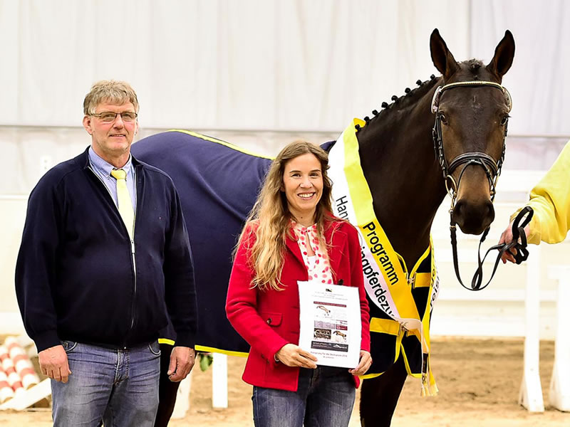 jumping horse Skippy Jo PJ - Verden 2016