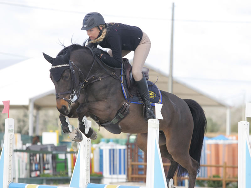 Sweet Chocolate PJ by Stakkato x Sweet Salü - international showjumper