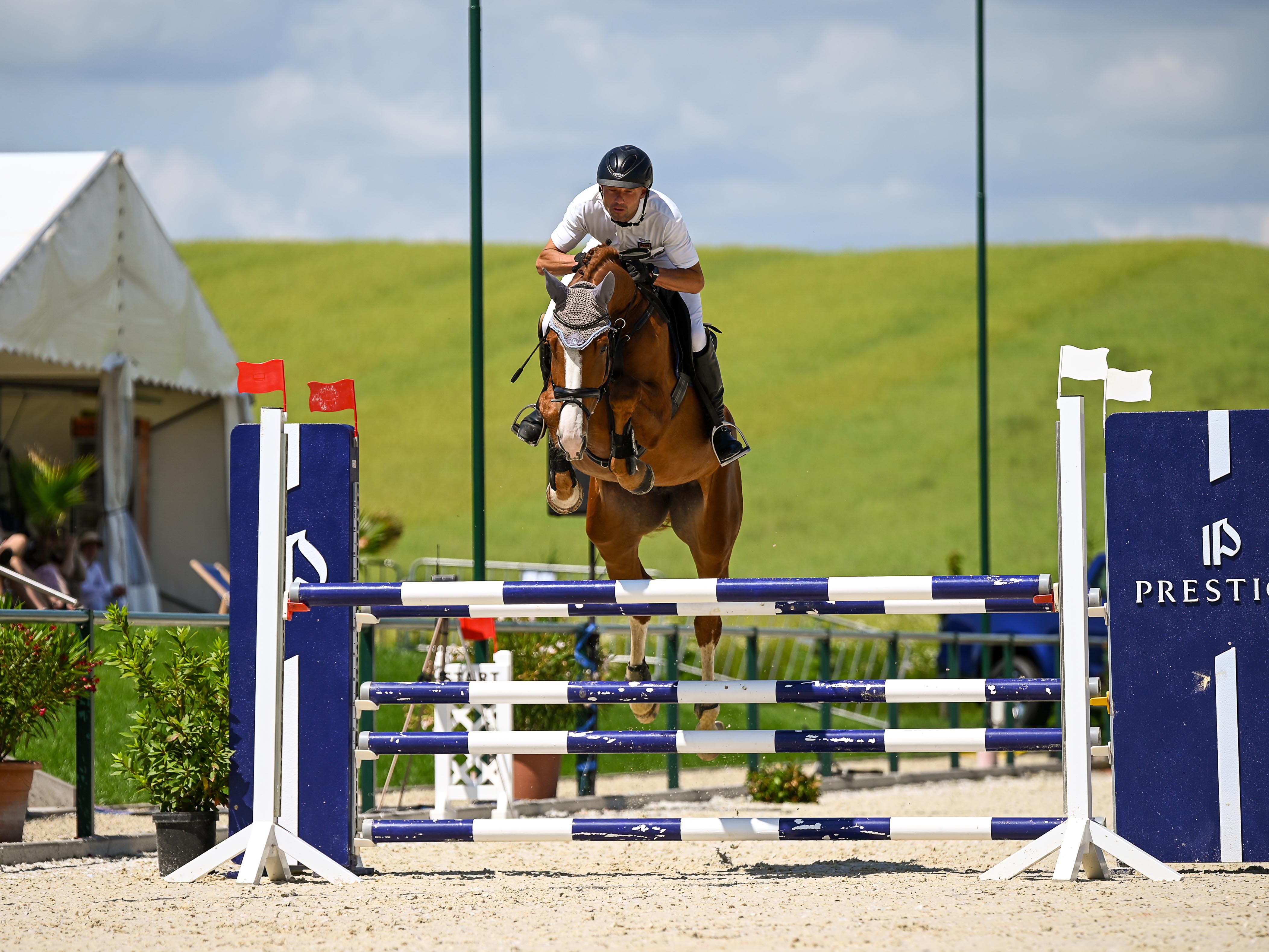 Bundeschampionat Warendorf Brandy Jo PJ v. Balou du Rouet x Candy Jo PJ