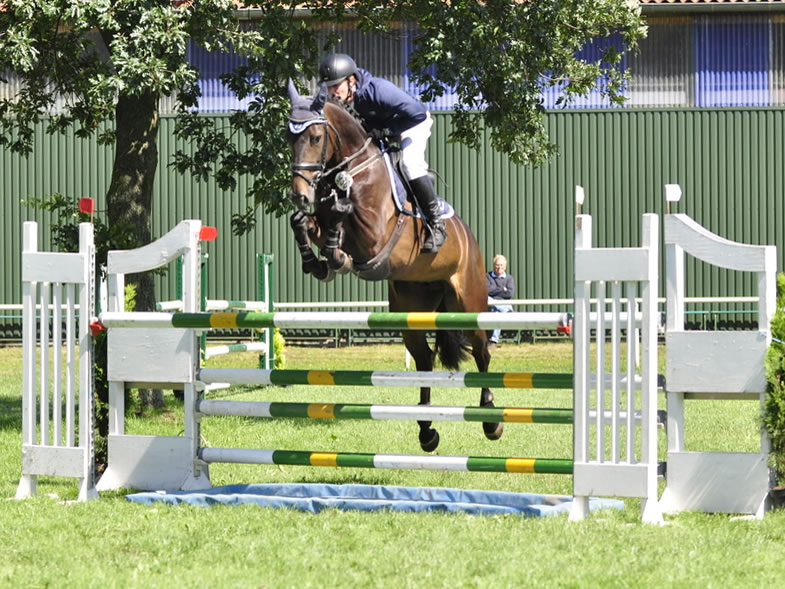 show jumper Skippy Jo PJ - show 2018