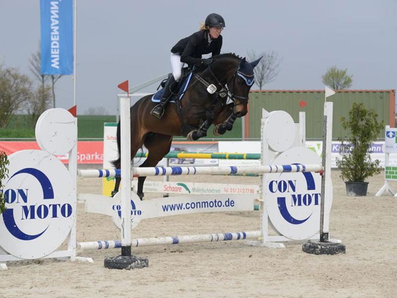 show jumper Skippy Jo PJ - show 2018