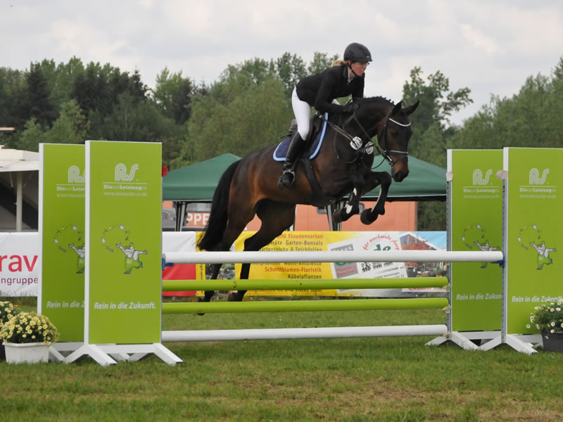 show jumper Skippy Jo PJ - show 2018