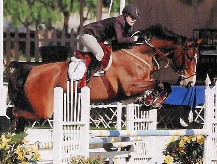 Halfsister Surrey by Silvio I: international showjumper